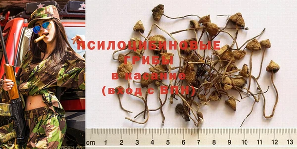 гашик Балабаново