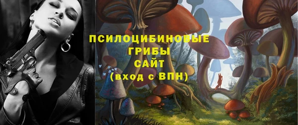 тгк Беломорск