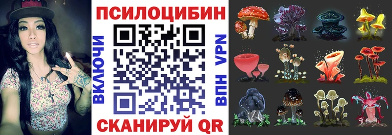 Псилоцибиновые грибы Psilocybine cubensis  Купить закладки  Назарово 